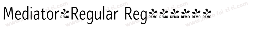 Mediator-Regular Reg字体转换